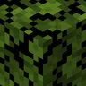 Plains Foliage Everywhere!