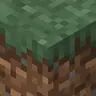 Taiga Grass Everywhere!
