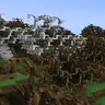 Tree Branches