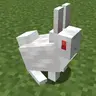 Accurate Rabbit Eyes