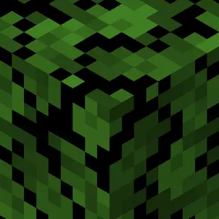 Forest Foliage Everywhere!