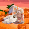 ShellRp