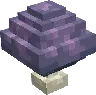 Wizard's dream