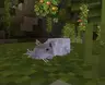 Kai's Rats (Resourcepack)