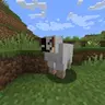 Winsheep