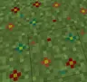 Beautiful flowers