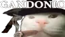 Gandonio