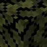 Swamp Foliage Everywhere!