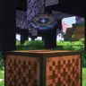 Disk. No. 12 in Minecraft