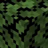 Ocean/River/Lush Caves Foliage Everywhere!