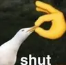 SHUT_RP