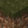 Swamp (brown) Grass Everywhere!