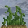 3Dimensional