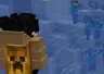 The Pack of good old Confusion