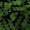 Birch Forest Foliage Everywhere!