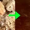 Resin to Rosin