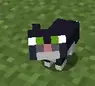 Baby anti scary black eyes