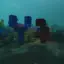 Creative SuperFlat Coral
