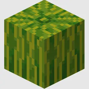 Watermelon Origin