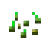 SeedBombs