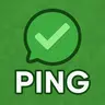 Ping Check in Chat