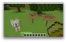 WolfPound