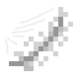 No Feather Attack