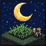 Overnight