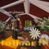 Hauled to Hearth
