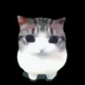 Meowpin Resource Pack