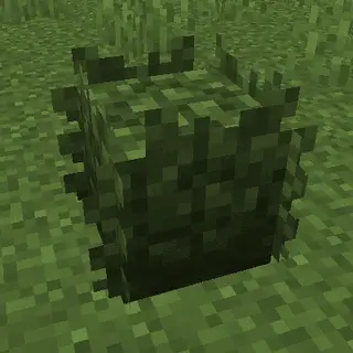3D Bushy Bushie