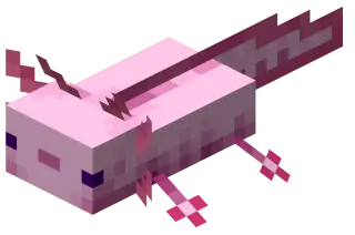 Axolotl inventory
