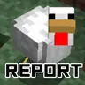 ChickReport
