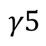 Gamma5