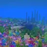 Recoraled Reef