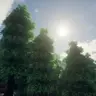 Ultra Realist Craft