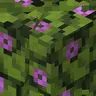 Bushy Story Mode Leaves