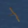 TFC River Particles+