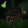 Amazon Rainforest Survival