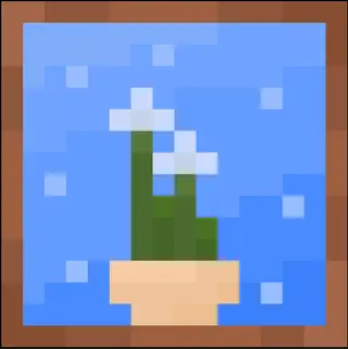 Lunaria