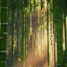 VietNam's Lofi Musics