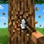 TimberVein
