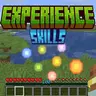 Experience Skills