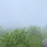 Fog(byGTX9999)
