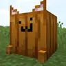 Cat Pumpkin