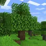 Green grass and Green foliage