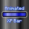 Animated Blue XP Bar