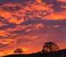 sun Sky