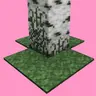 Mossy Biomes