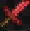 demon totem with small sword pvp